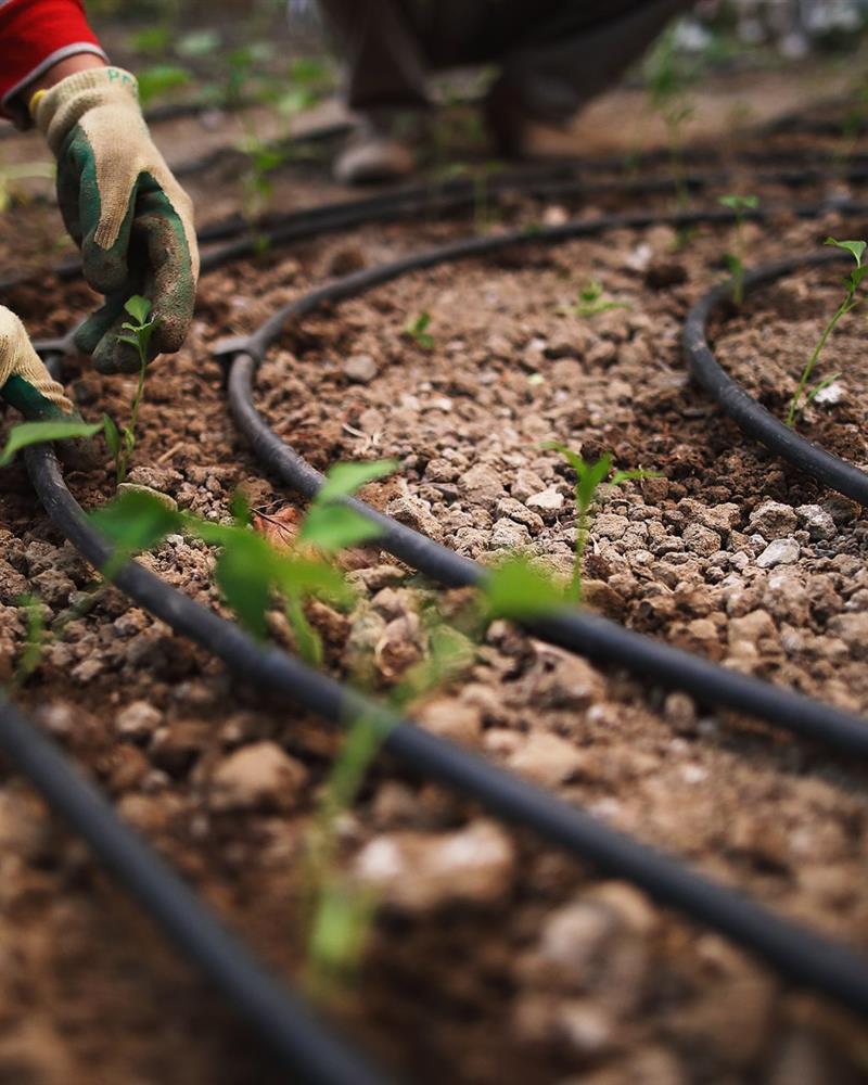 Drip Irrigation System