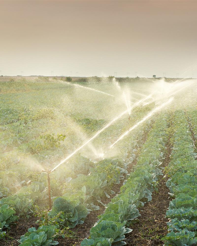 Sprinkler Irrigation System